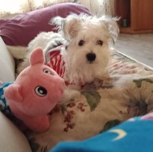 Meet your Posher, Marcia